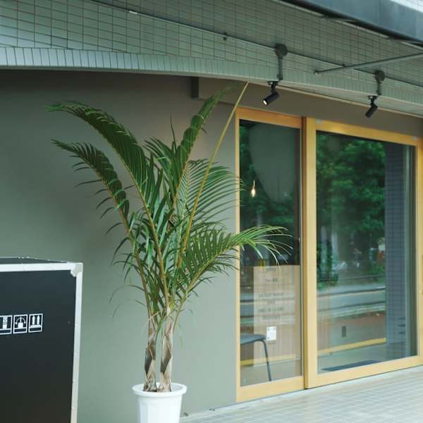 men's salon yahny