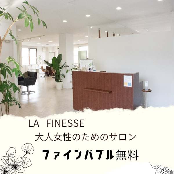 LA FINESSE