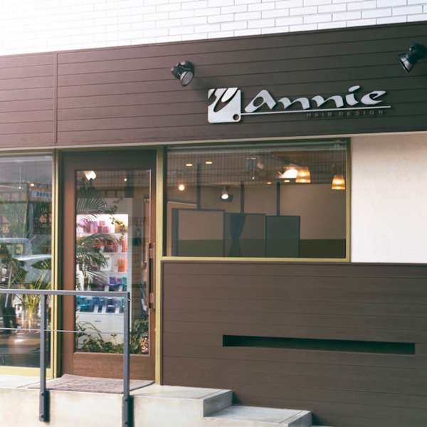 annie hair design