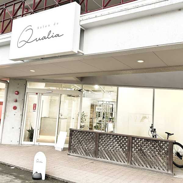 Salon de Qualia