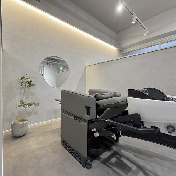 Salon de Qualia