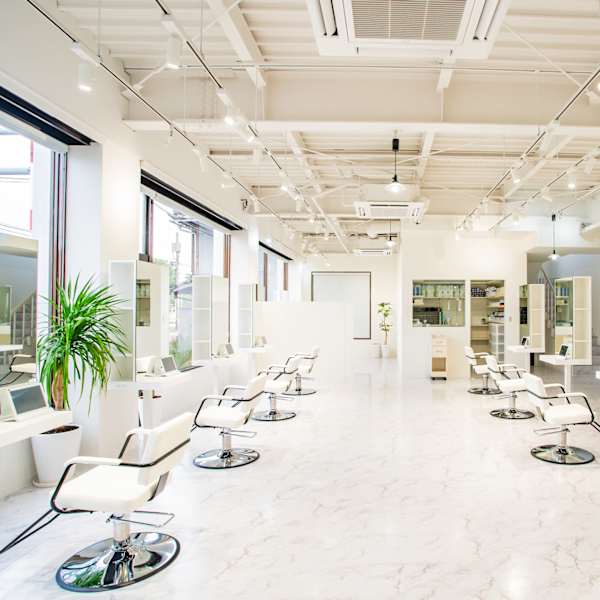 Antwerp hair lino