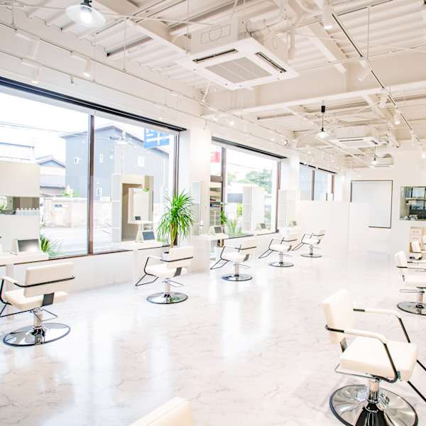 Antwerp hair lino