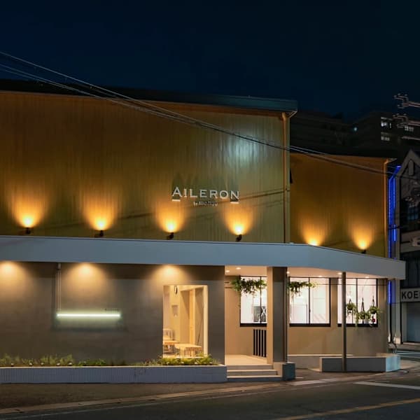 AILERON by mahae