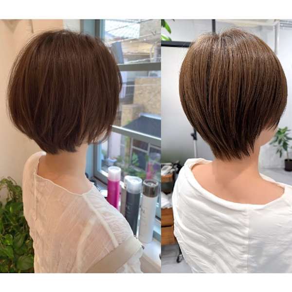HALE Re-Hair