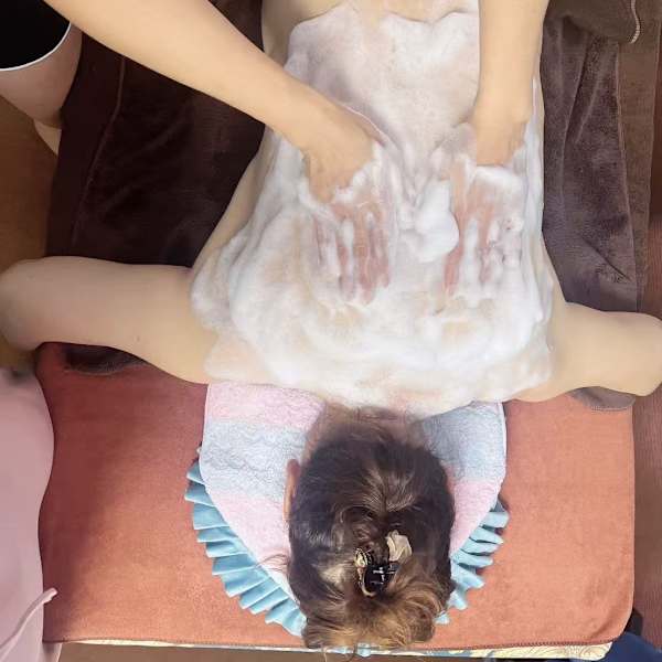 リラクゼーション向日葵