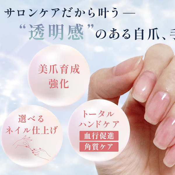 つきしずく