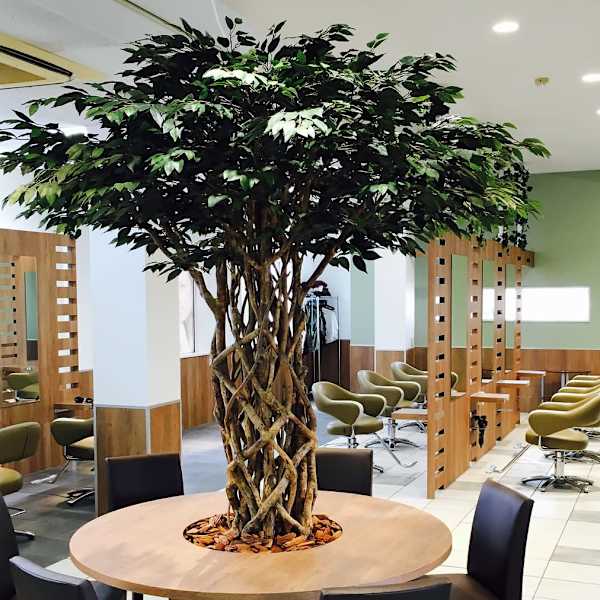 K's collection 御所野店