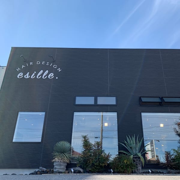 HAIR DESIGN esille.
