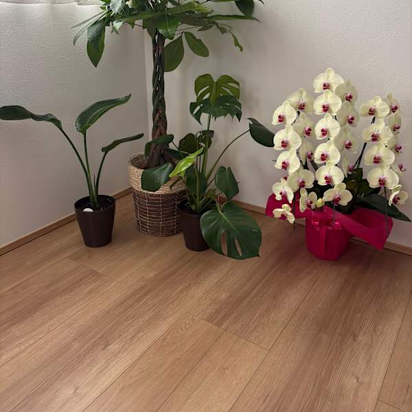 妊活お手当てサロン こうのとり