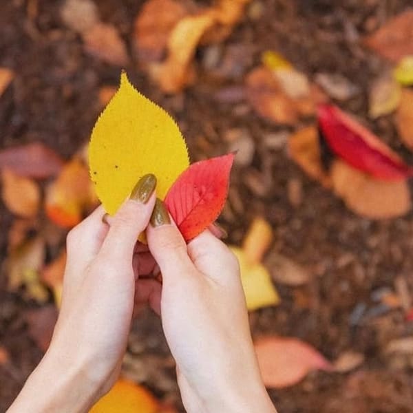 ホームサロンネイル&ドイツ式フットケアENSIA