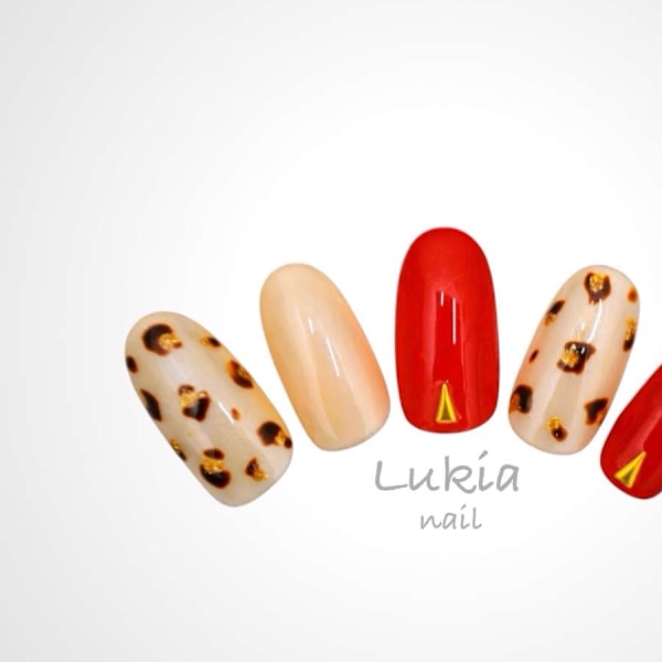 アニマルレギュラーコース ¥7000