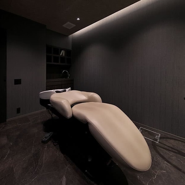 LashinVan【ラシンバン】