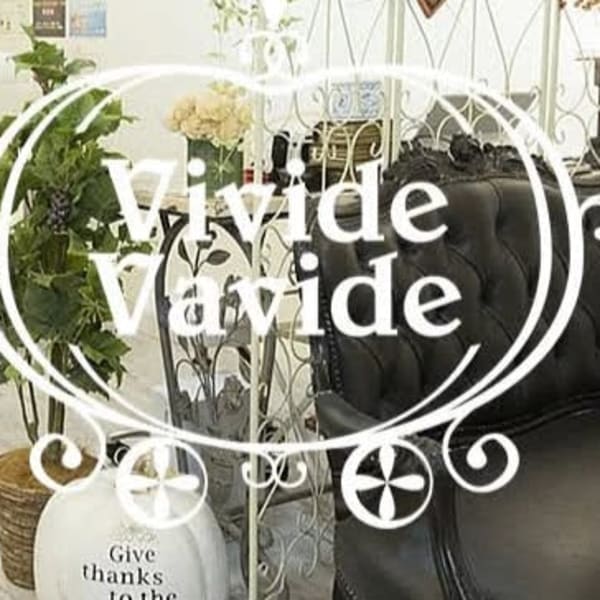 VivideVavide