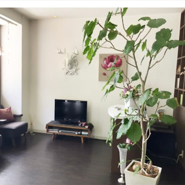 Hair Design GLOSS【ヘアデザイン グロス】