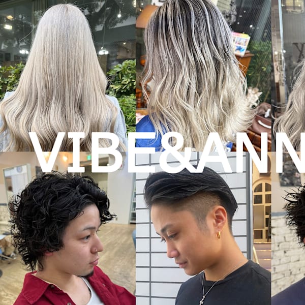 VIBE & ANNEX