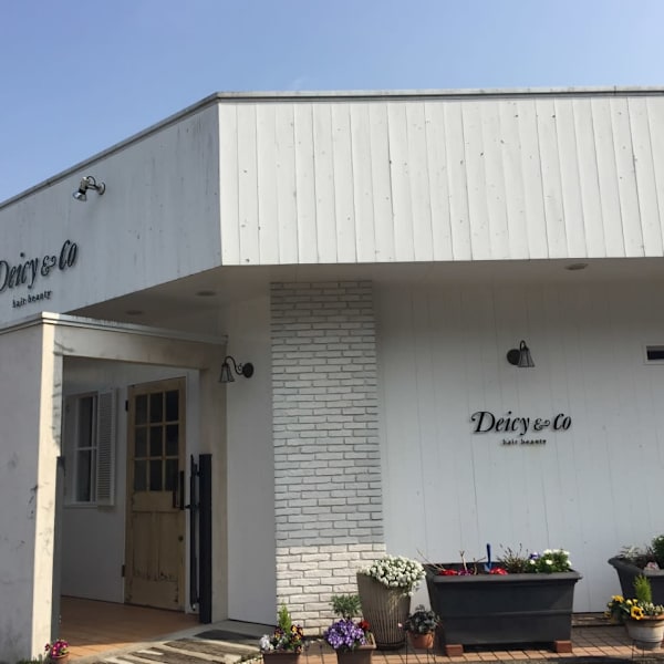 Deicy&Co【デイシーアンドコー】