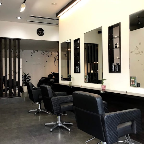 Dista 【ディスタ】