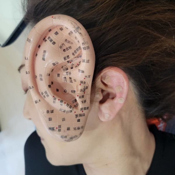 整体ピラティスウォーク