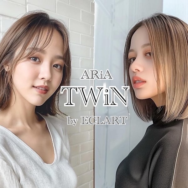 ARiA TWiN by ECLART