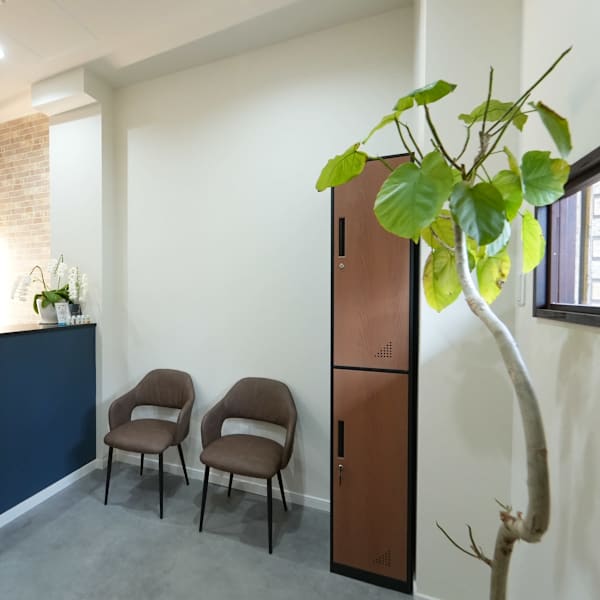 Gazebo【ガゼボ】