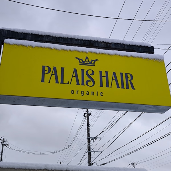 Palais Hair Organic