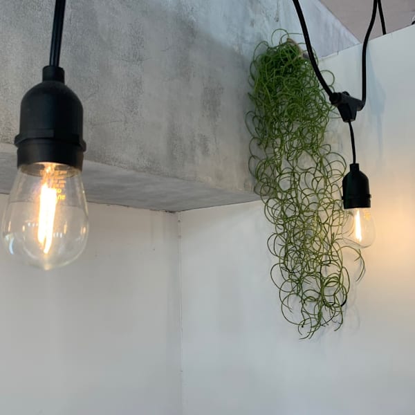 saga 御茶ノ水【サーガ】