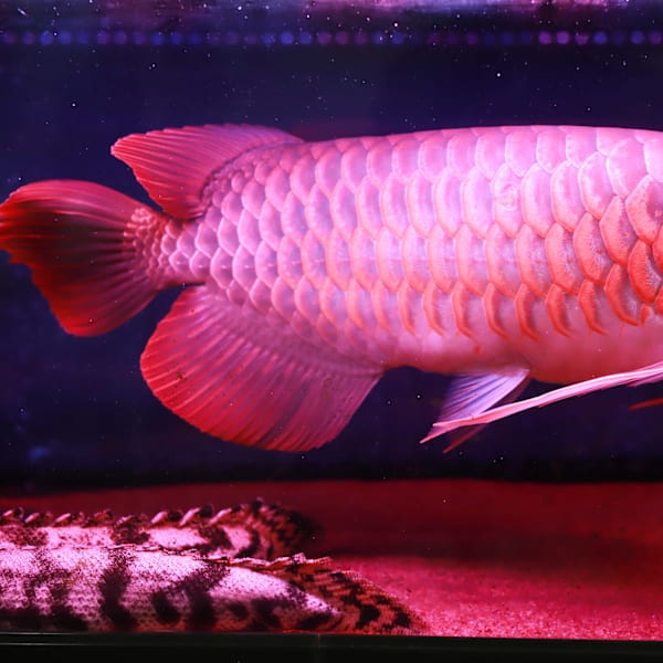 Chic髪質改善METEO(メテオ)取り扱いサロン【シック】