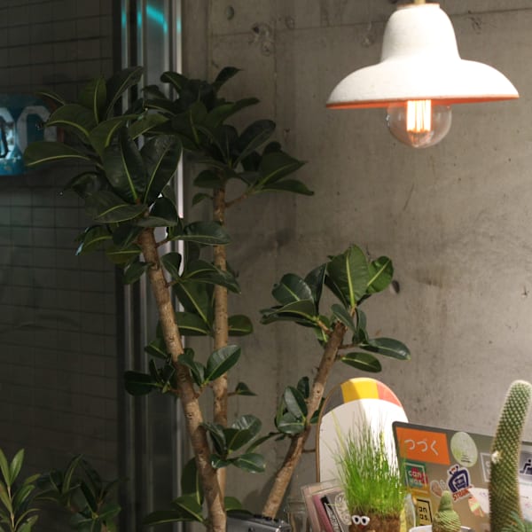 canvas.【キャンバスドット】