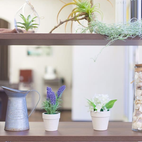 Cathy 行徳店【キャシー】