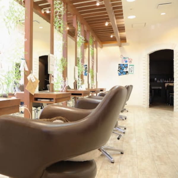 VISAGE oak【ヴィサージュ オーク】