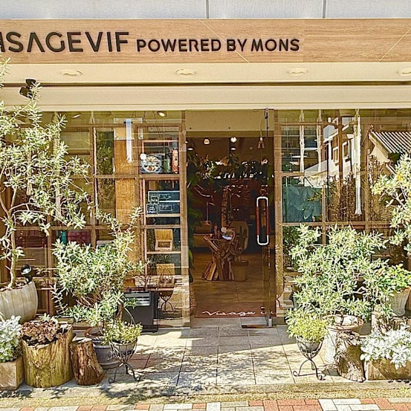 VISAGE VIF POWERED BY MONS