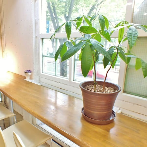 Hair Custom 【ヘアーカスタム】