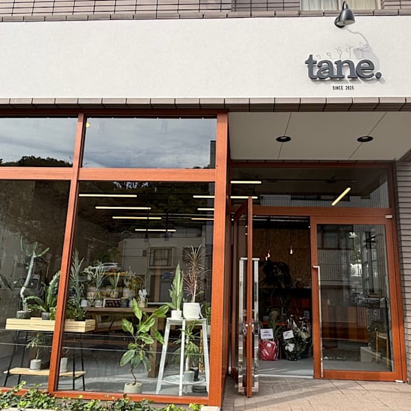tane.【タネ】