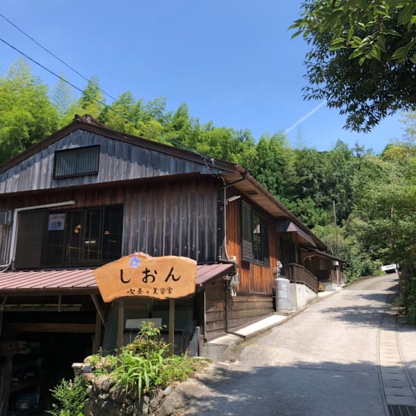 しおん