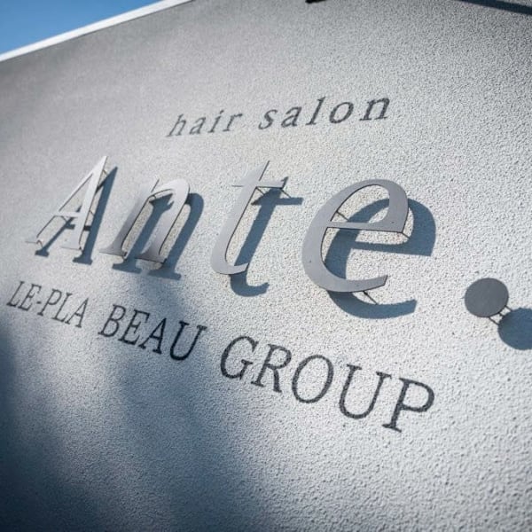 le-pla Ante【アンテ】