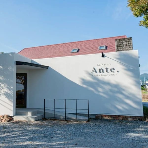 le-pla Ante【アンテ】