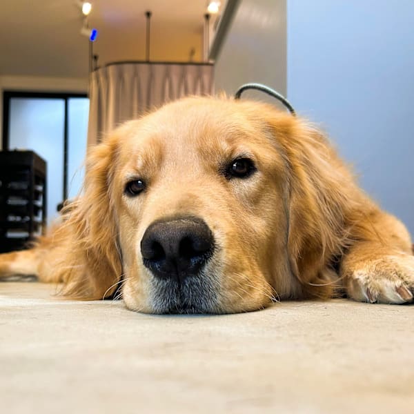 AO アオ仙台南/髪質改善/縮毛矯正/ハイライト/ショート