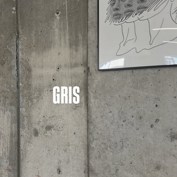 GRIS 【グリ】