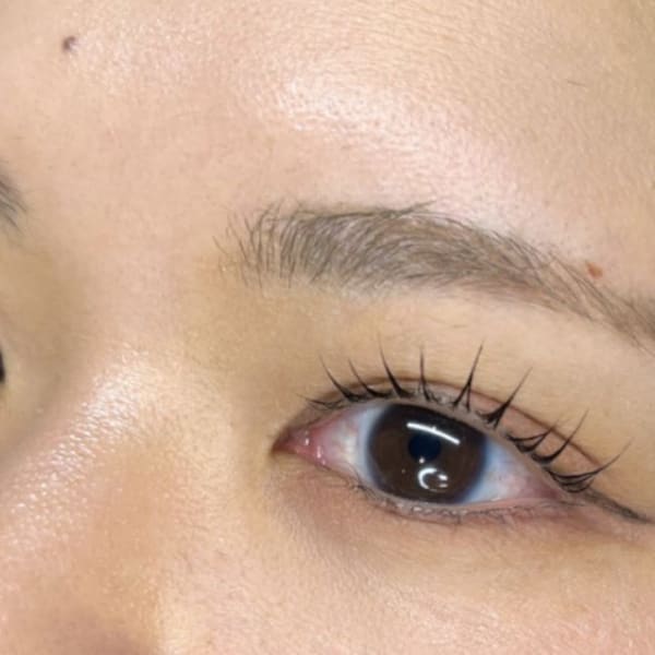 Sogno eyelash&eyebrow