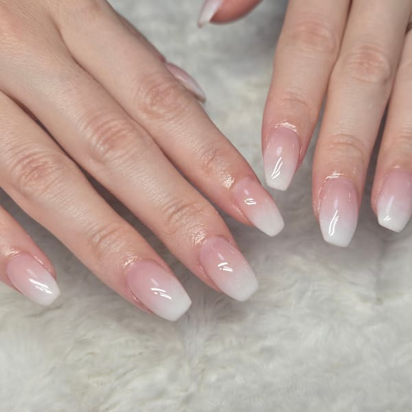 -lala beauty-