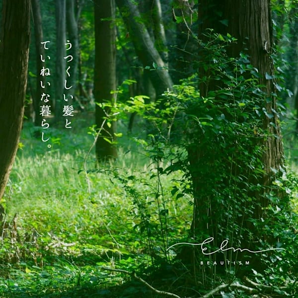 Beautism Elm 茗荷谷