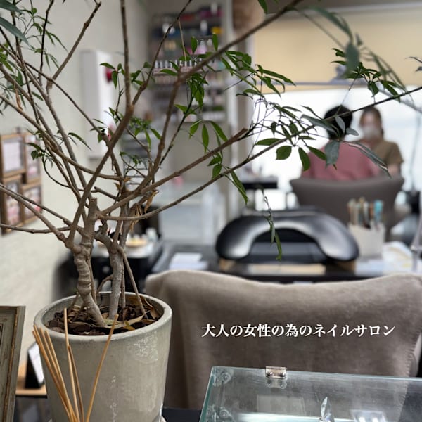 BEAUT-BUTTERFLY 相模大野店