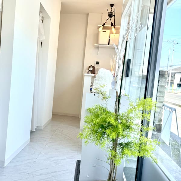 n plus eyelash salon