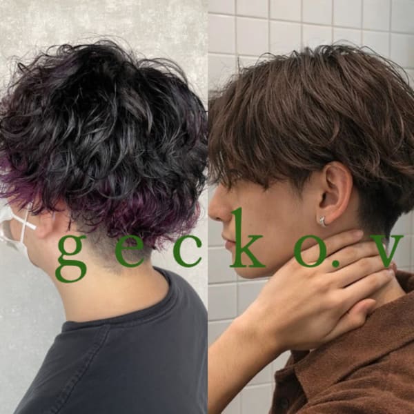 gecko.vert 祐天寺