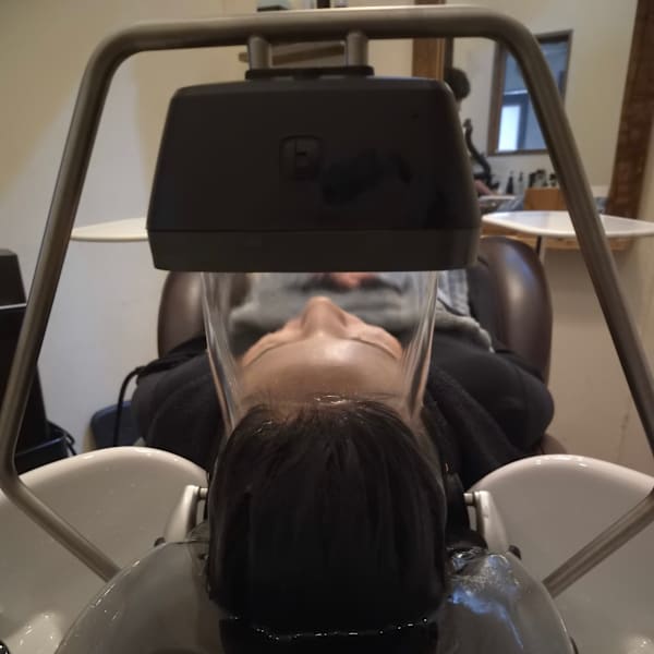 spa ameise