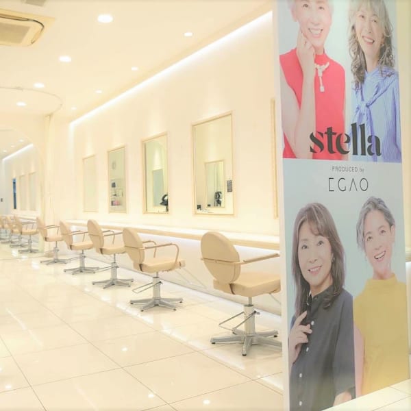 stella 柏店