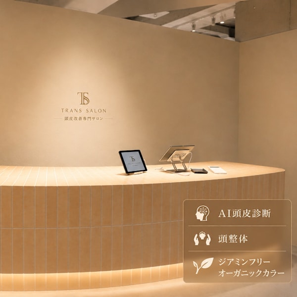TRANS SALON