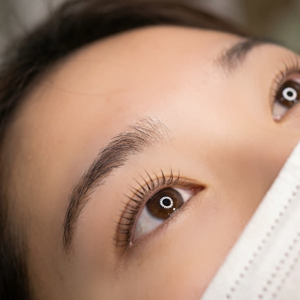 eyelash salon belle
