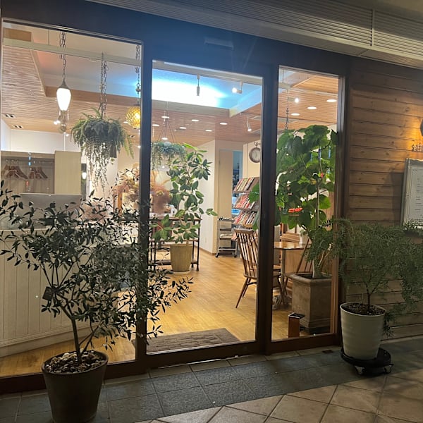 schiffon hair lounge